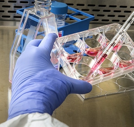 ГК «АГРОЭКО» начала масштабное тестирование сотрудников на коронавирус