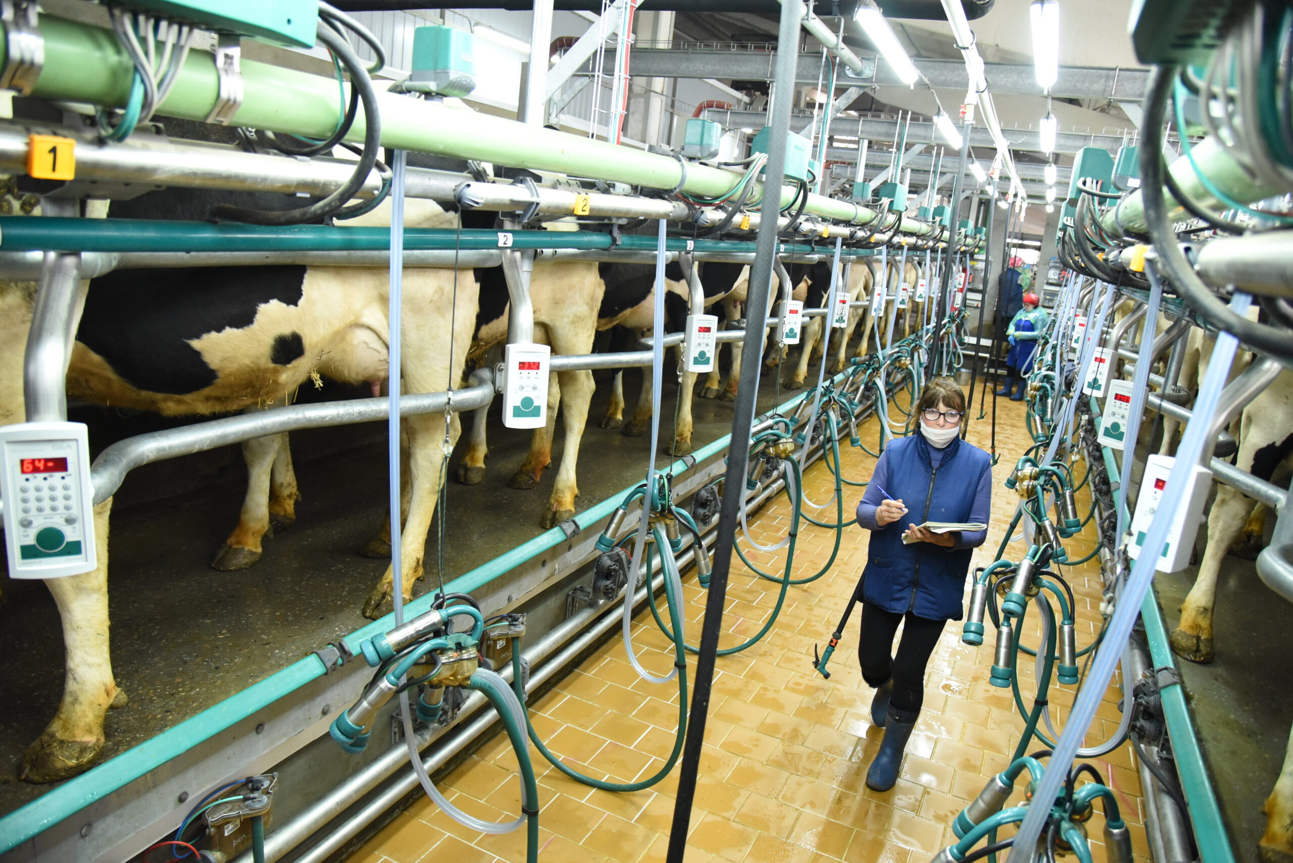 Молочный сектор нарастил объемы производства